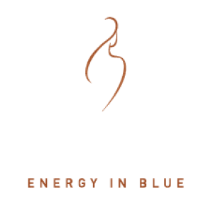 logo nanni diesel