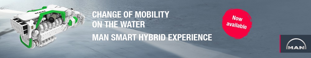 smart_hybridn